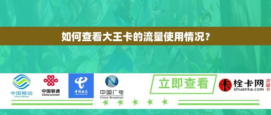 如何查看大王卡的流量使用情况？
