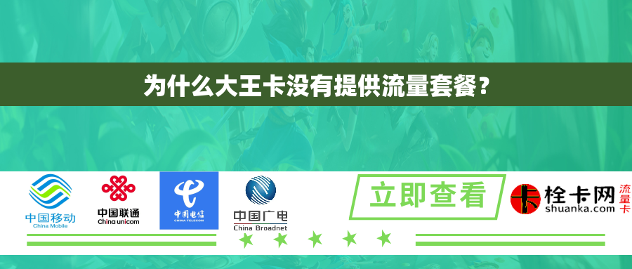 为什么大王卡没有提供流量套餐？