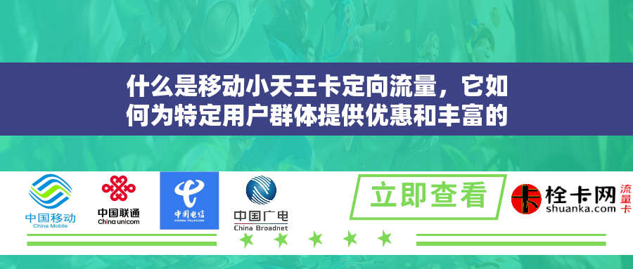 什么是移动小天王卡定向流量，它如何为特定用户群体提供优惠和丰富的流量资源？