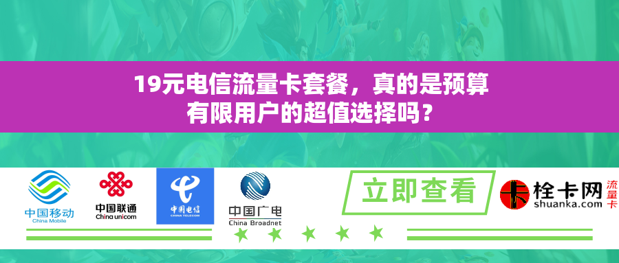 19元电信流量卡套餐,真的是预算有限用户的超值选择吗? 19元电信流量卡套餐,真的是预算有限用户的超值选择吗?