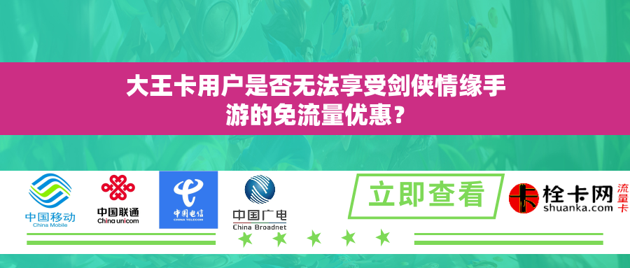 大王卡用户是否无法享受剑侠情缘手游的免流量优惠？