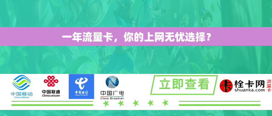 一年流量卡,你的上网无忧选择? 一年流量卡,你的上网无忧选择?