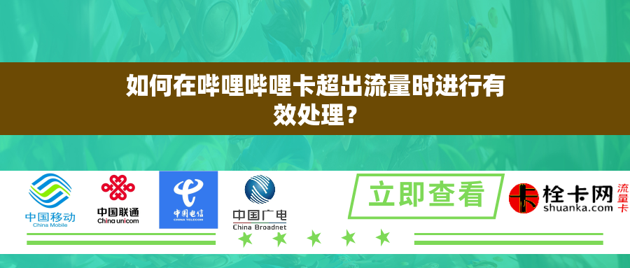 如何在哔哩哔哩卡超出流量时进行有效处理? 如何在哔哩哔哩卡超出流量时进行有效处理?
