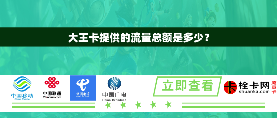 大王卡提供的流量总额是多少? 大王卡提供的流量总额是多少?