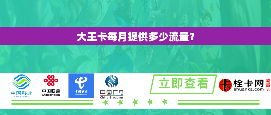 大王卡每月提供多少流量？