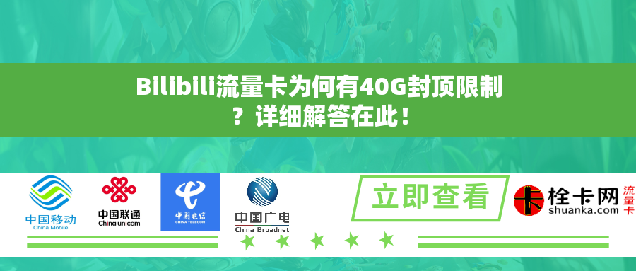 Bilibili流量卡为何有40G封顶限制？详细解答在此！