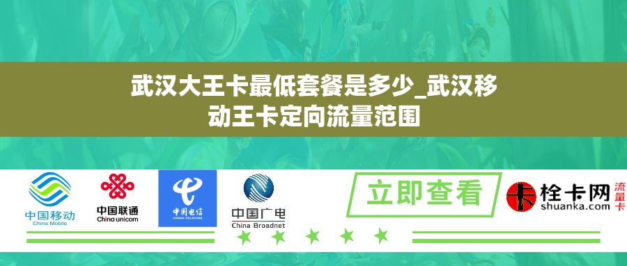 武汉大王卡最低套餐是多少_武汉移动王卡定向流量范围