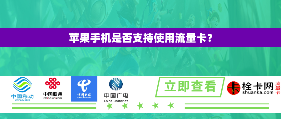 苹果手机是否支持使用流量卡？