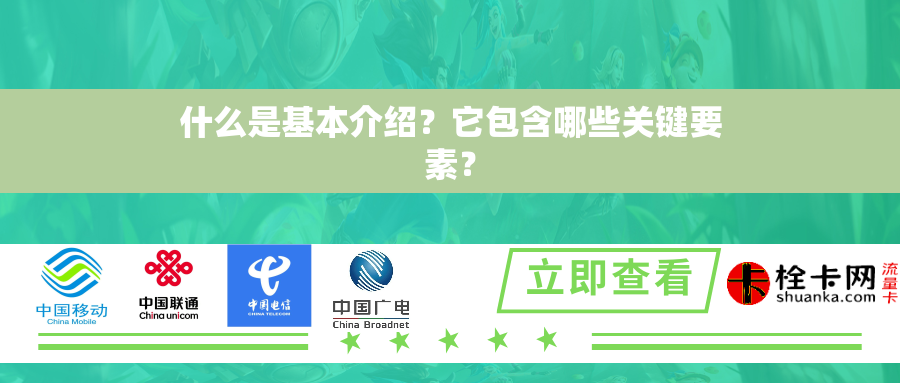 什么是基本介绍？它包含哪些关键要素？