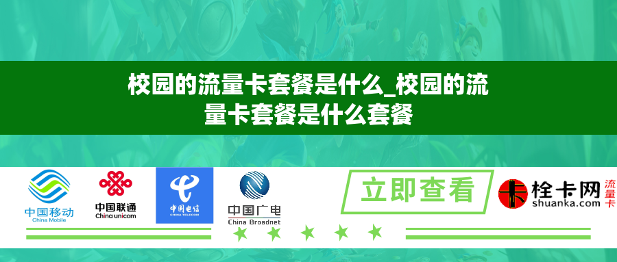校园的流量卡套餐是什么_校园的流量卡套餐是什么套餐