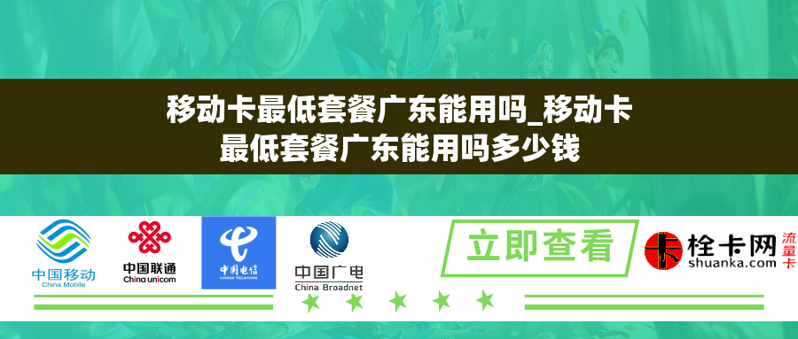 移动卡最低套餐广东能用吗_移动卡最低套餐广东能用吗多少钱