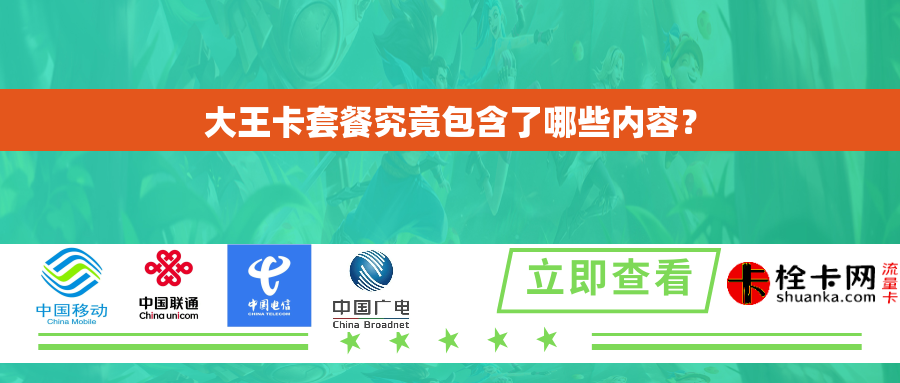 大王卡套餐究竟包含了哪些内容？