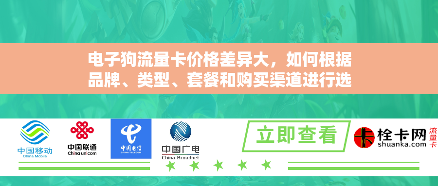 电子狗流量卡价格差异大，如何根据品牌、类型、套餐和购买渠道进行选择？