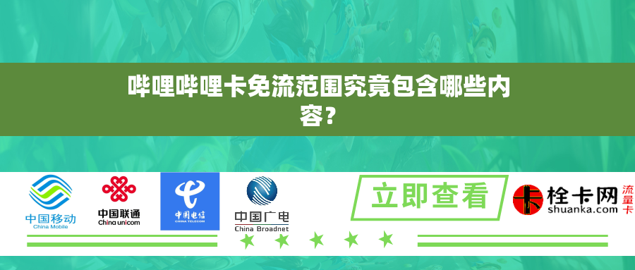 哔哩哔哩卡免流范围究竟包含哪些内容？