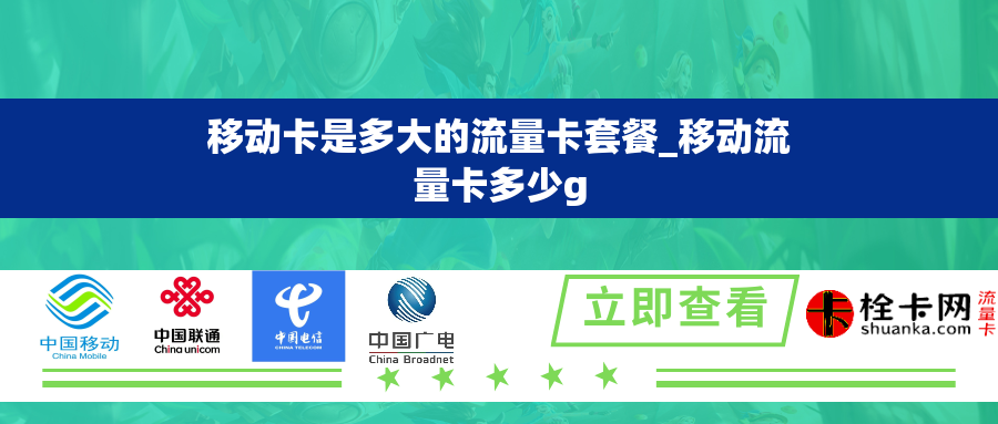 移动卡是多大的流量卡套餐_移动流量卡多少g