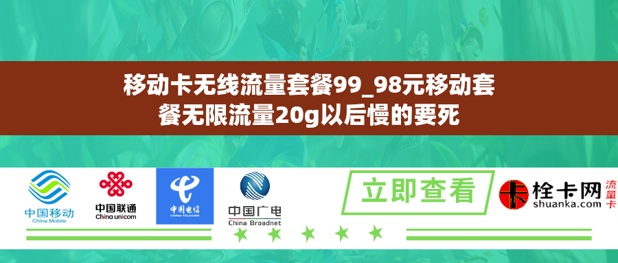 移动卡无线流量套餐99_98元移动套餐无限流量20g以后慢的要死