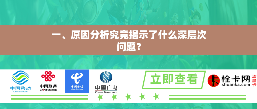 一、原因分析究竟揭示了什么深层次问题? 一、原因分析究竟揭示了什么深层次问题?
