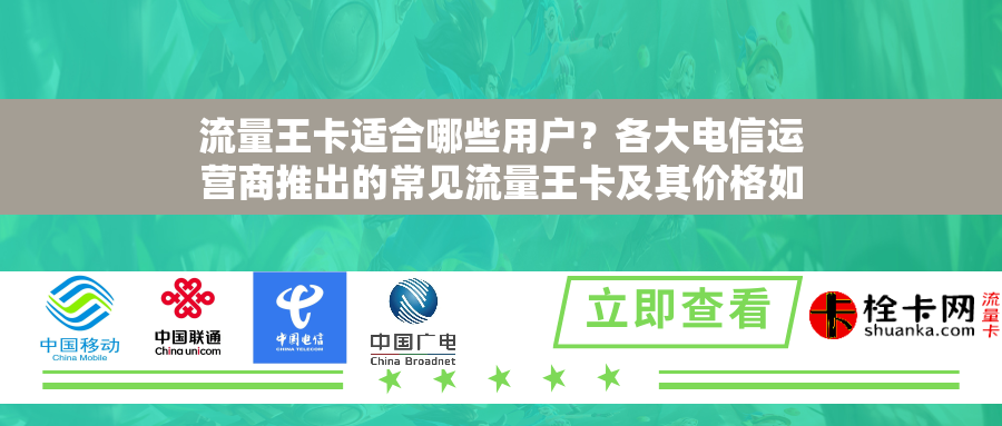 流量王卡适合哪些用户?各大电信运营商推出的常见流量王卡及其价格如何? 流量王卡适合哪些用户?各大电信运营商推出的常见流量王卡及其价格如何?