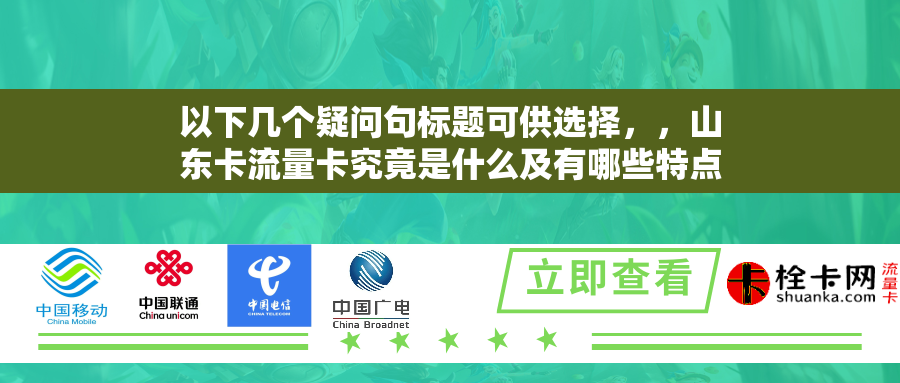 以下几个疑问句标题可供选择，，山东卡流量卡究竟是什么及有哪些特点？，山东卡流量卡是面向哪些用户的通信 SIM 卡？，关于山东卡流量卡，你了解多少？，山东卡流量卡的推出目的和针对人群是谁？，想知道山东卡流量卡的详情吗？