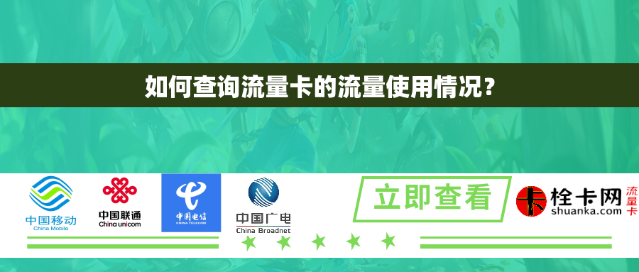如何查询流量卡的流量使用情况？