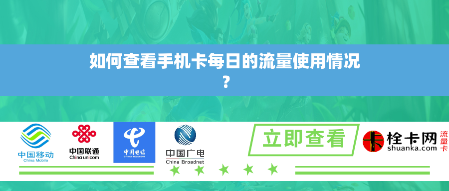 如何查看手机卡每日的流量使用情况？