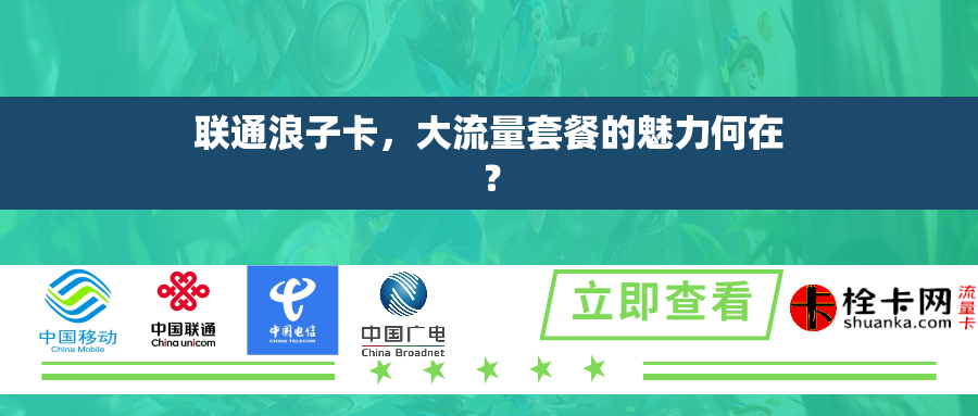 联通浪子卡，大流量套餐的魅力何在？