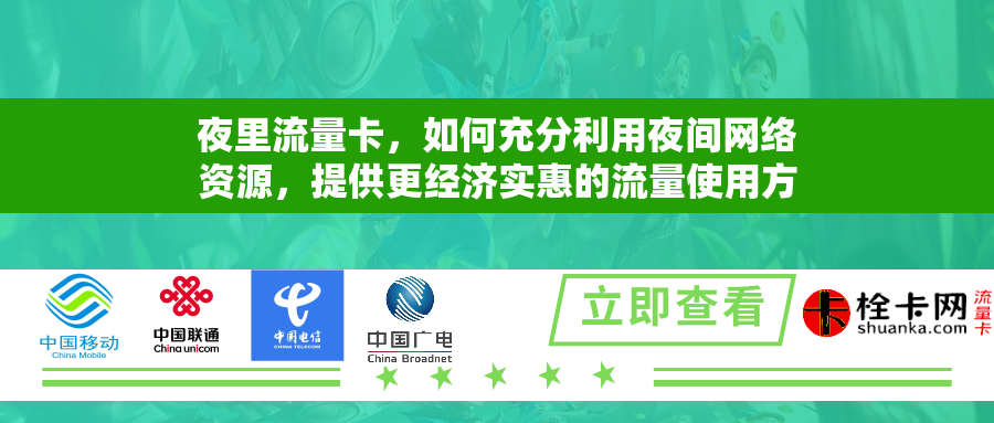 夜里流量卡，如何充分利用夜间网络资源，提供更经济实惠的流量使用方案？