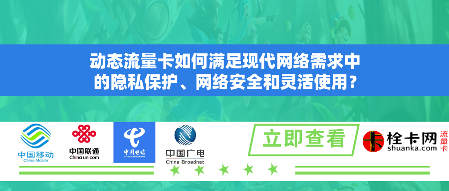 动态流量卡如何满足现代网络需求中的隐私保护、网络安全和灵活使用？