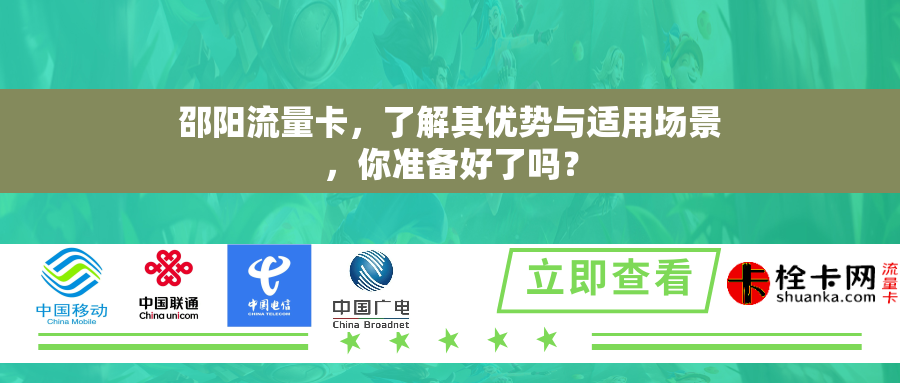 邵阳流量卡，了解其优势与适用场景，你准备好了吗？
