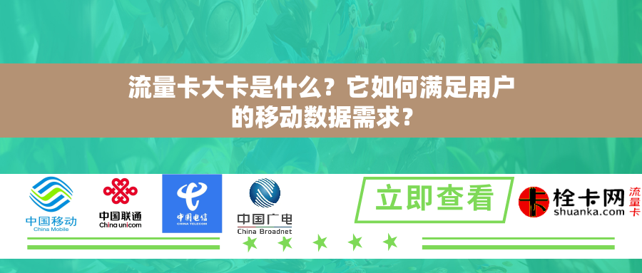 流量卡大卡是什么？它如何满足用户的移动数据需求？
