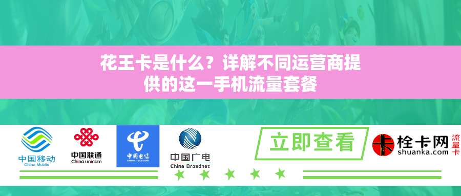 花王卡是什么？详解不同运营商提供的这一手机流量套餐
