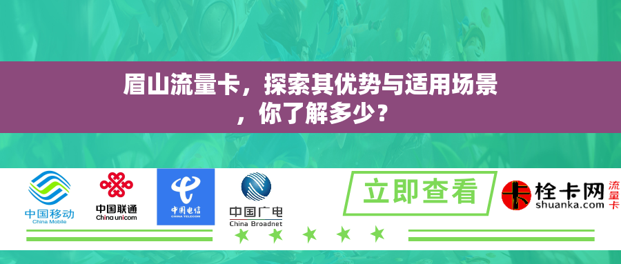 眉山流量卡，探索其优势与适用场景，你了解多少？