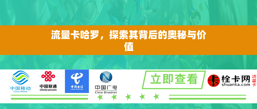 流量卡哈罗，探索其背后的奥秘与价值