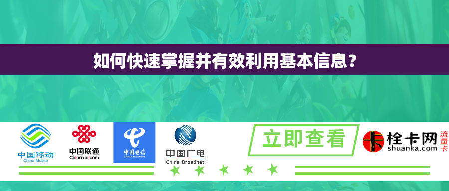 如何快速掌握并有效利用基本信息？