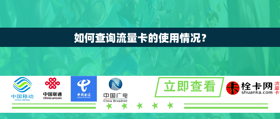 如何查询流量卡的使用情况？