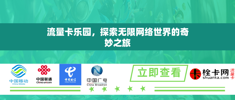 流量卡乐园，探索无限网络世界的奇妙之旅