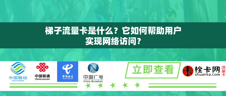 梯子流量卡是什么？它如何帮助用户实现网络访问？