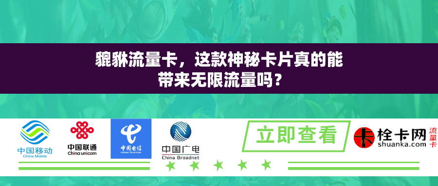 貔貅流量卡，这款神秘卡片真的能带来无限流量吗？