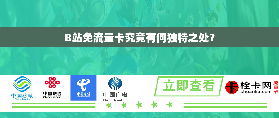 B站免流量卡究竟有何独特之处？