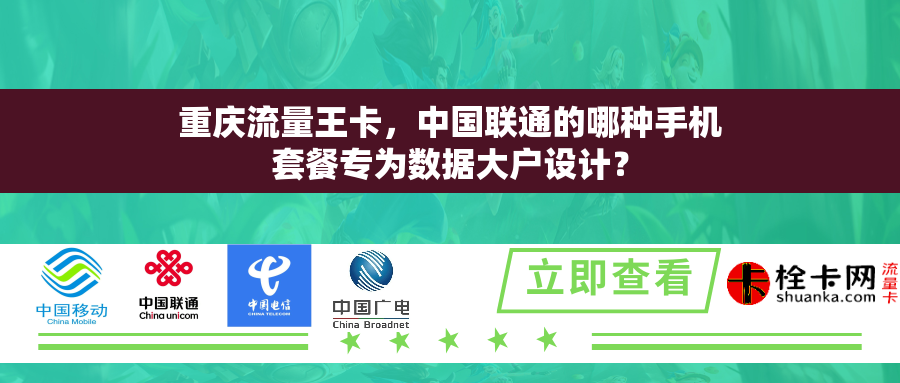 重庆流量王卡，中国联通的哪种手机套餐专为数据大户设计？
