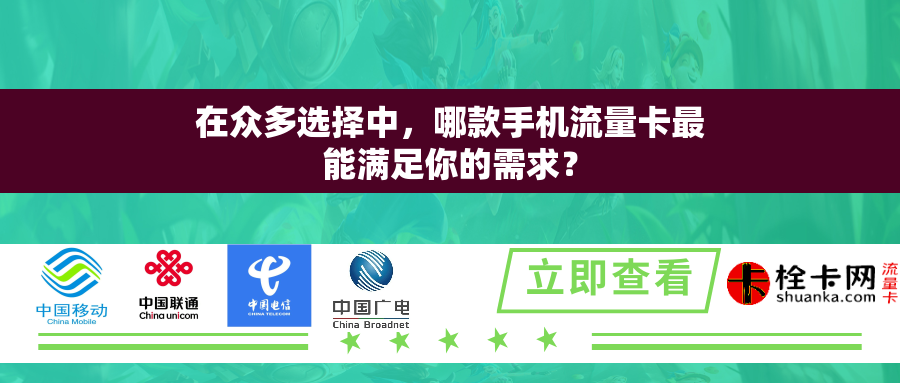 在众多选择中，哪款手机流量卡最能满足你的需求？