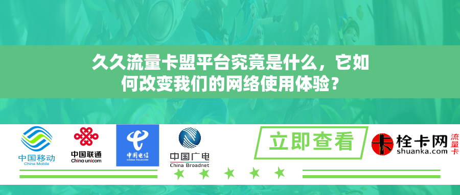 久久流量卡盟平台究竟是什么，它如何改变我们的网络使用体验？