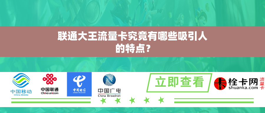联通大王流量卡究竟有哪些吸引人的特点？