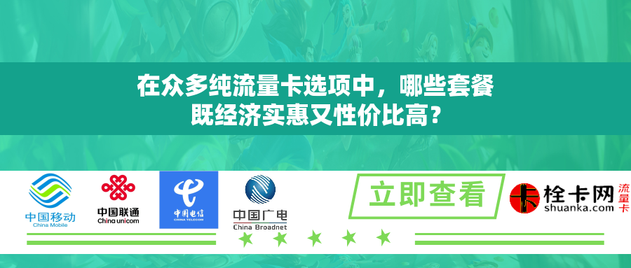在众多纯流量卡选项中，哪些套餐既经济实惠又性价比高？