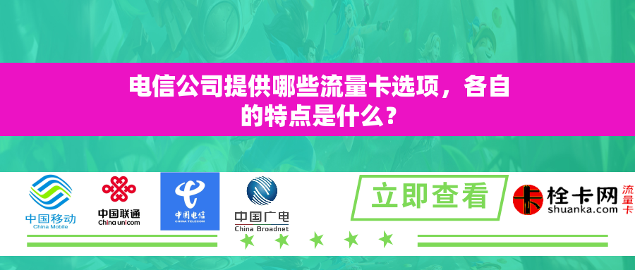 电信公司提供哪些流量卡选项，各自的特点是什么？