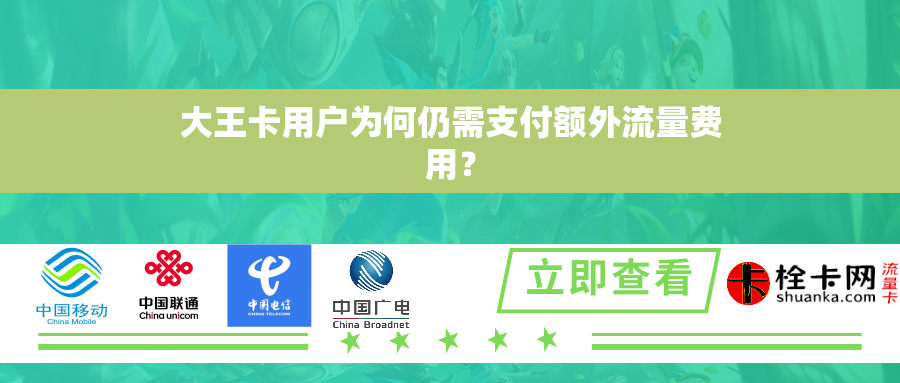 大王卡用户为何仍需支付额外流量费用？