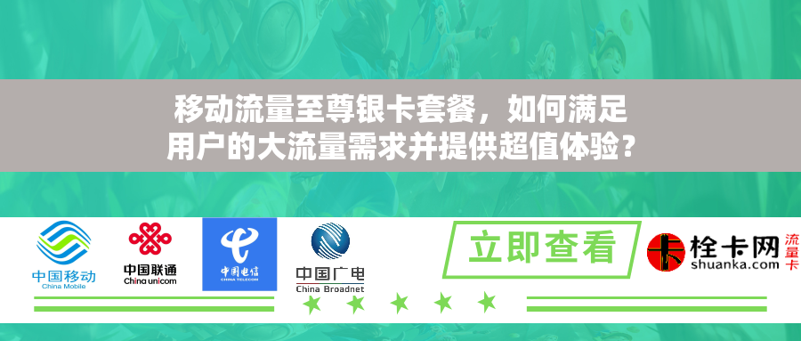 移动流量至尊银卡套餐，如何满足用户的大流量需求并提供超值体验？