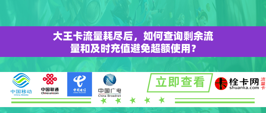 大王卡流量耗尽后，如何查询剩余流量和及时充值避免超额使用？