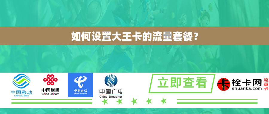 如何设置大王卡的流量套餐？