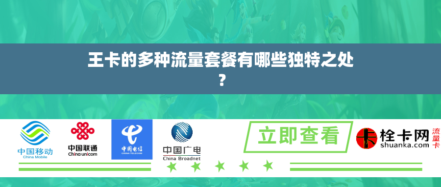 王卡的多种流量套餐有哪些独特之处？